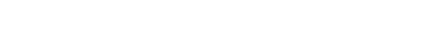 Logo Sulger Stiftung